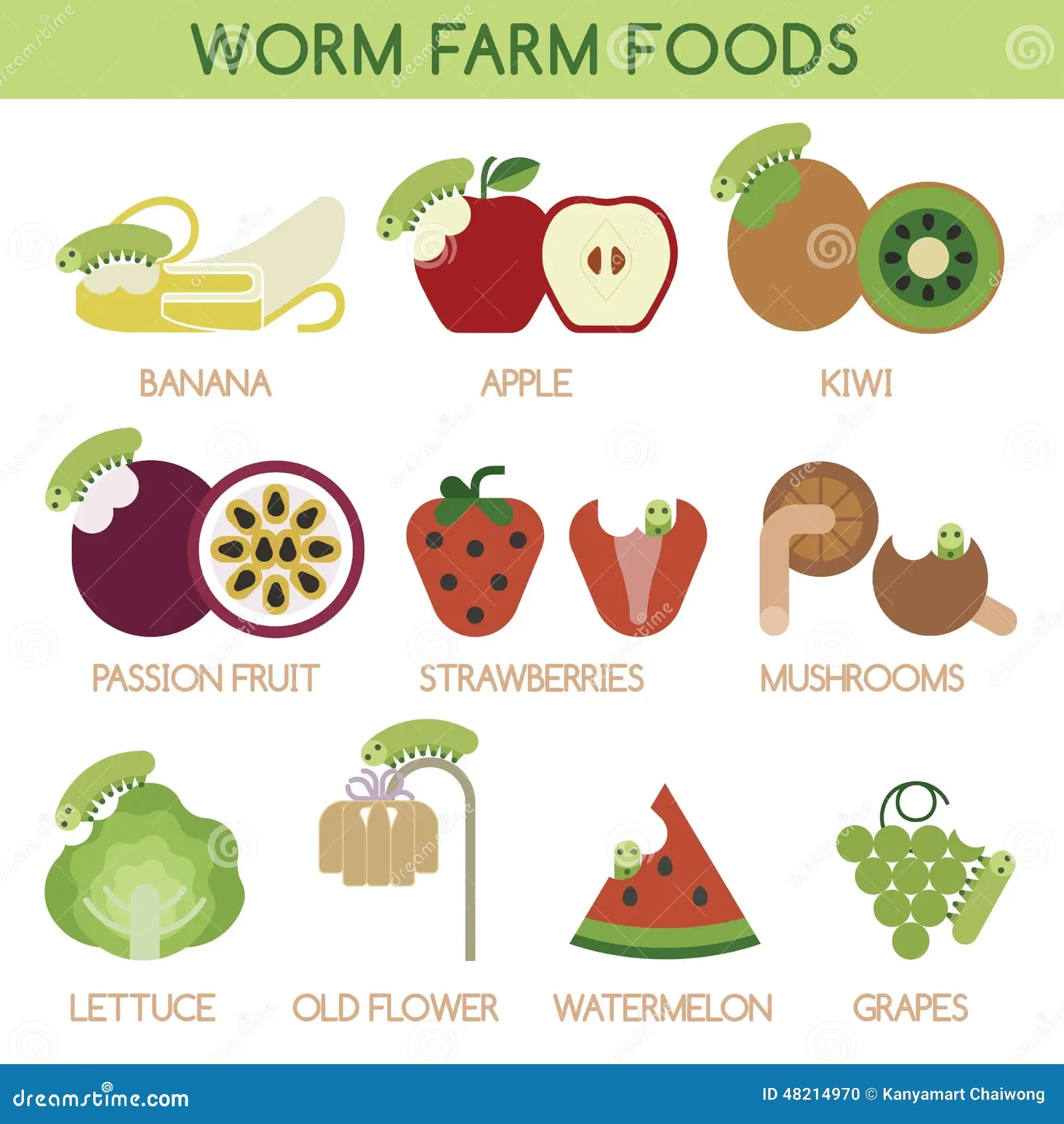 Worm Farm Foods Stock Vector Illustration Of Health 48214970
