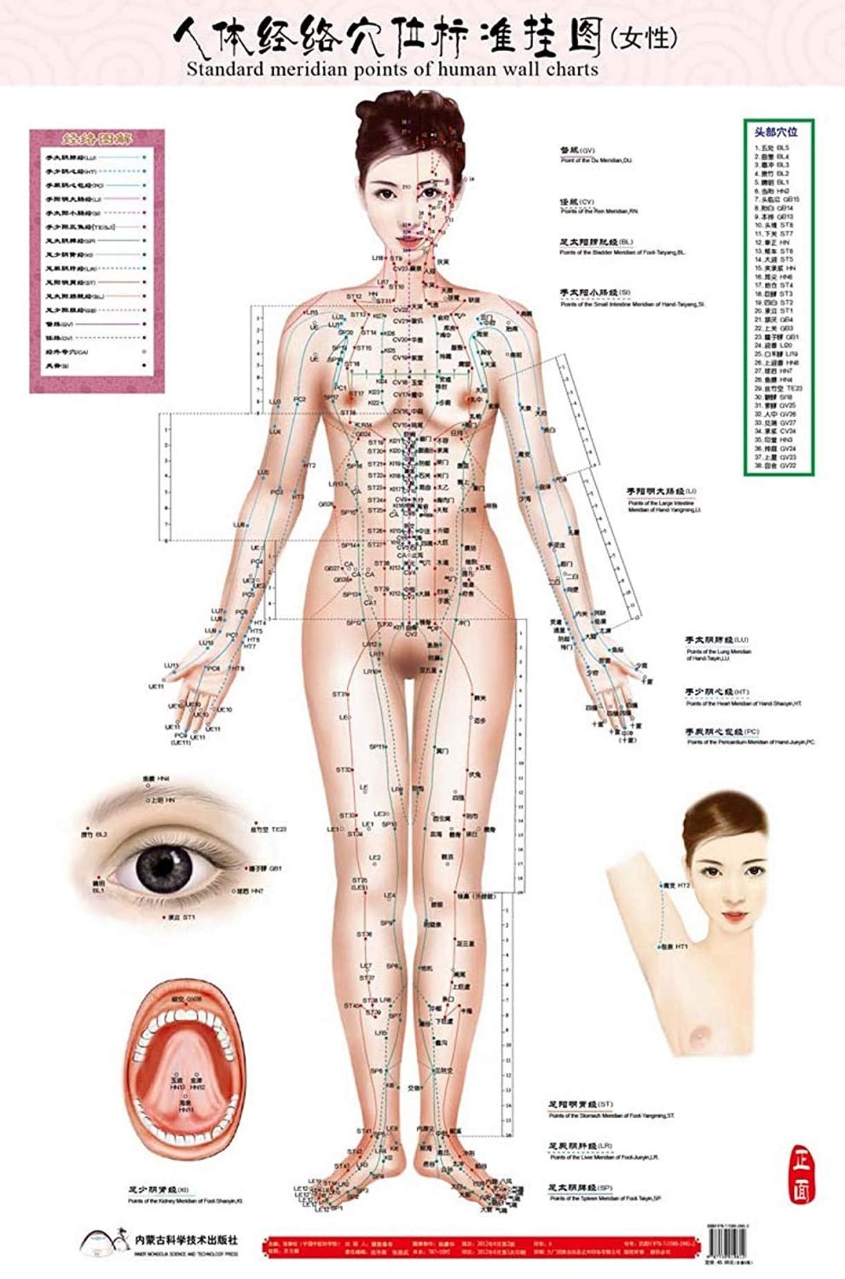 Printable Female Acupuncture Points Chart